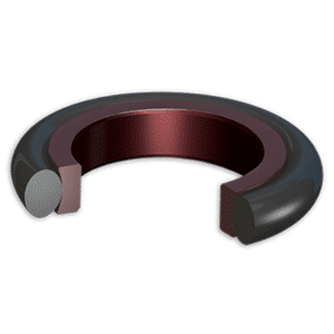 Type Cap Seals CCS